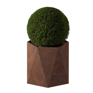 Stalen plantenbak Pisa cortenstaal | Ø 120x100 cm