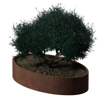 Stalen plantenbak ovaal cortenstaal | 200x120x40 cm