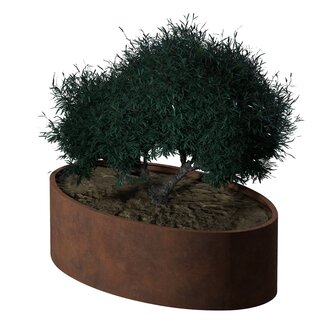 Stalen plantenbak ovaal cortenstaal | 200x120x60 cm