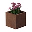 Cortenstaal plantenbak vierkant - 40x40x40 cm