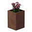 Cortenstaal plantenbak vierkant - 40x40x60 cm