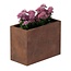 Cortenstaal plantenbak rechthoek - 40x80x60 cm