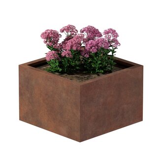 Cortenstaal plantenbak vierkant - 60x60x40 cm
