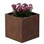 Cortenstaal plantenbak vierkant - 60x60x60 cm