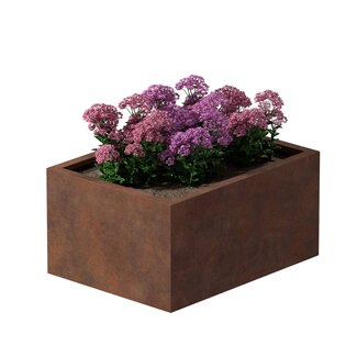 Cortenstaal plantenbak rechthoek - 60x80x40 cm