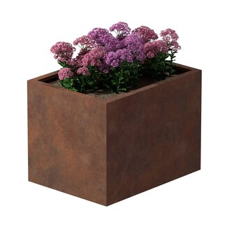 Cortenstaal plantenbak rechthoek - 60x80x60 cm