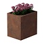 Cortenstaal plantenbak rechthoek - 60x80x80 cm