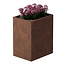 Cortenstaal plantenbak rechthoek - 60x80x100 cm