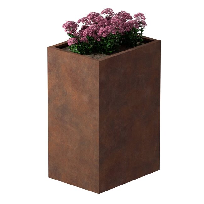 Cortenstaal plantenbak rechthoek- 60x80x120 cm
