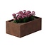 Cortenstaal plantenbak rechthoek - 60x100x40 cm