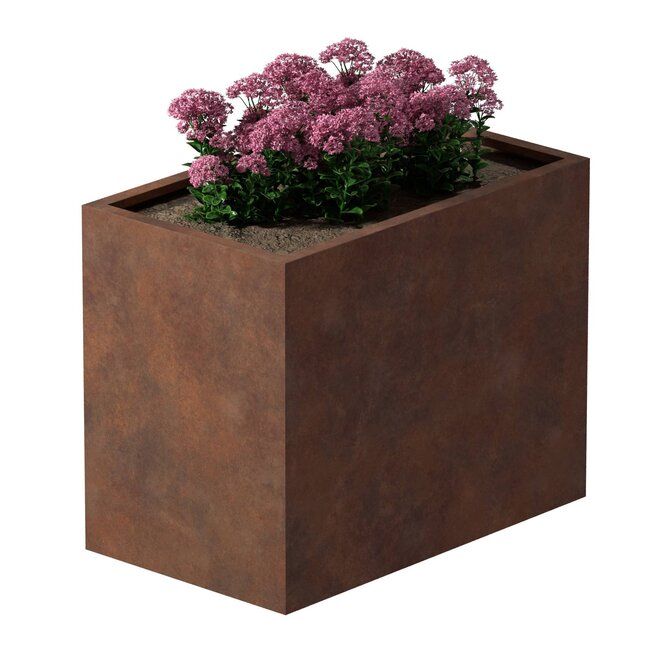 Cortenstaal plantenbak rechthoek - 60x100x80 cm