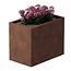 Cortenstaal plantenbak rechthoek - 60x100x80 cm