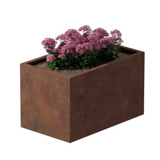 Cortenstaal plantenbak rechthoek - 60x100x60 cm