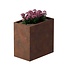 Cortenstaal plantenbak rechthoek - 60x100x100 cm