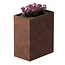 Cortenstaal plantenbak rechthoek - 60x100x120 cm