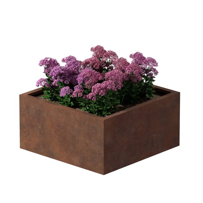 Cortenstaal plantenbak vierkant - 80x80x40 cm