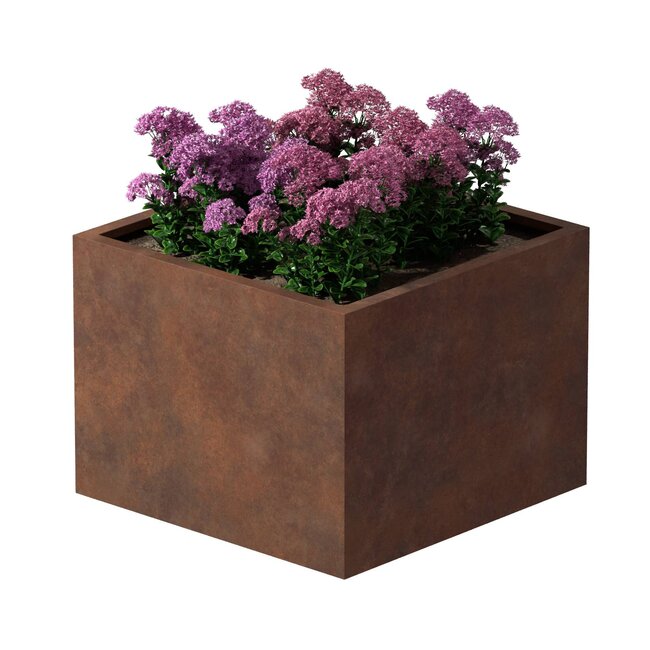 Cortenstaal plantenbak vierkant - 80x80x60 cm