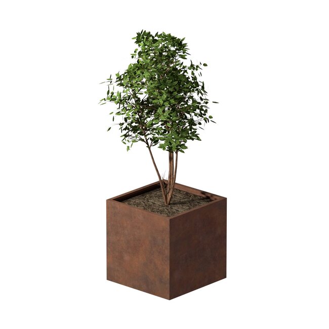 Cortenstaal plantenbak vierkant - 80x80x80 cm