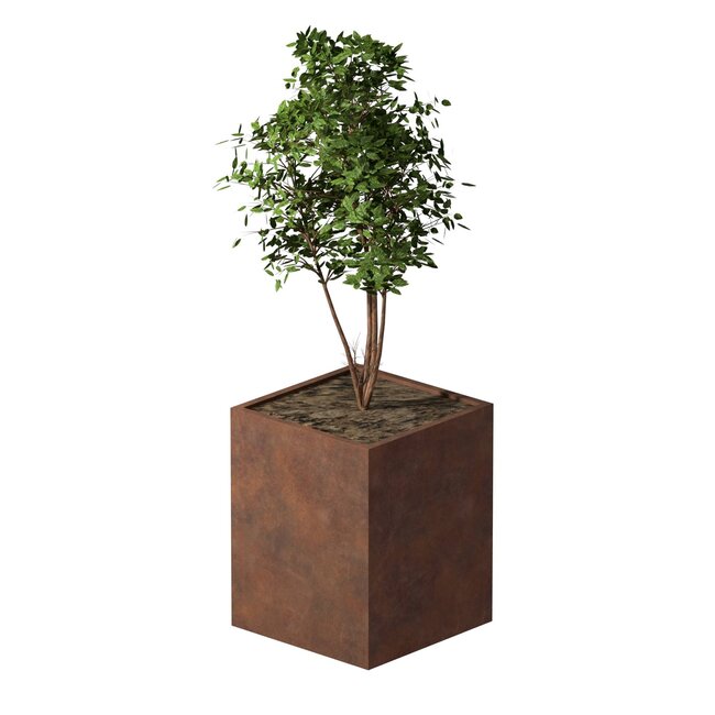 Cortenstaal plantenbak vierkant - 80x80x100 cm