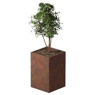 Cortenstaal plantenbak vierkant - 80x80x120 cm