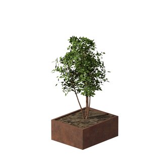 Cortenstaal plantenbak rechthoek - 80x100x40 cm