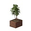 Cortenstaal plantenbak rechthoek - 80x100x60 cm