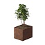 Cortenstaal plantenbak rechthoek - 80x100x80 cm