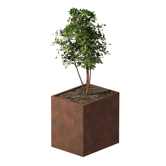 Cortenstaal plantenbak rechthoek - 80x100x100 cm