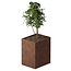 Cortenstaal plantenbak rechthoek - 80x100x120 cm