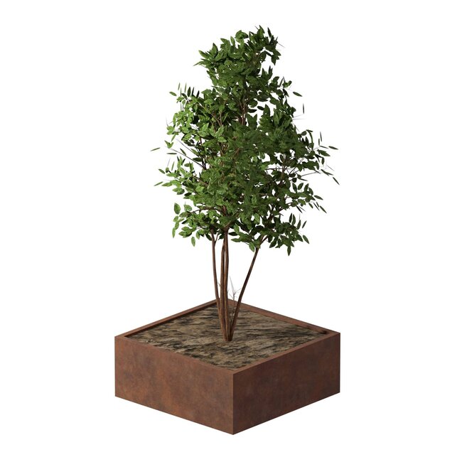 Cortenstaal plantenbak vierkant - 100x100x40 cm