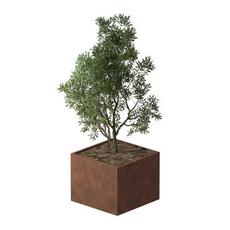 Cortenstaal plantenbak vierkant - 100x100x80 cm