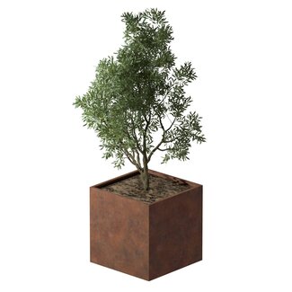 Cortenstaal plantenbak vierkant - 100x100x100 cm