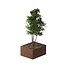 Cortenstaal plantenbak rechthoek - 120x100x60 cm