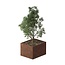 Cortenstaal plantenbak rechthoek - 120x100x80 cm