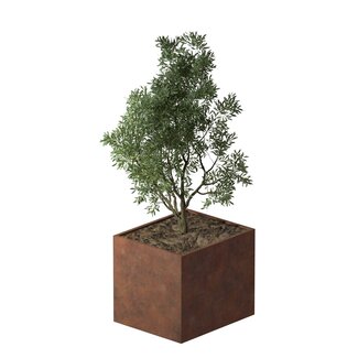 Cortenstaal plantenbak rechthoek - 120x100x100 cm