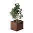 Cortenstaal plantenbak rechthoek - 120x100x100 cm