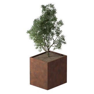Cortenstaal plantenbak rechthoek - 120x100x120 cm