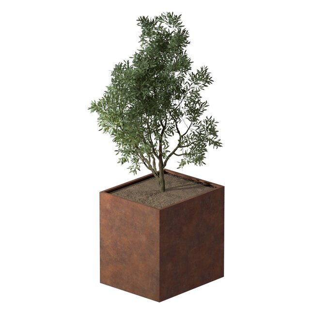Cortenstaal plantenbak rechthoek - 120x100x120 cm