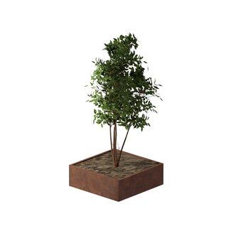 Cortenstaal plantenbak vierkant - 120x120x40 cm