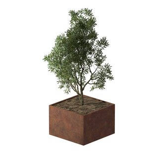 Cortenstaal plantenbak vierkant - 120x120x80 cm