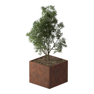 Cortenstaal plantenbak vierkant - 120x120x100 cm