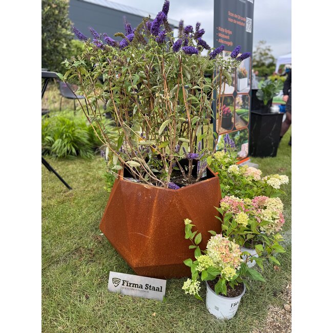 Stalen plantenbak Ferro cortenstaal | Met bodem | Ø 50x40 cm