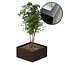 Stalen plantenbak gecoat vierkant - 80x80x40 | Standaard