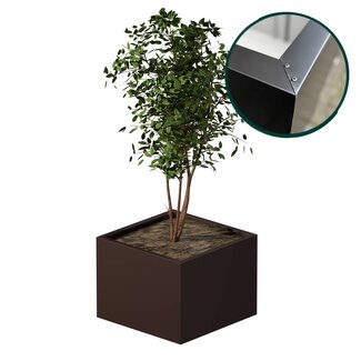 Stalen plantenbak gecoat vierkant - 80x80x60 cm | Standaard