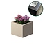 Stalen plantenbak gecoat vierkant - 60x60x50 cm | Standaard