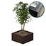 Stalen plantenbak gecoat vierkant - 75x75x40 cm | Standaard