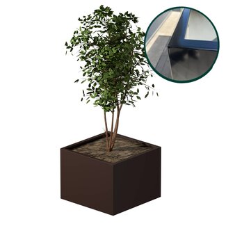 Stalen plantenbak gepoedercoat 80x80x60 cm | Premium