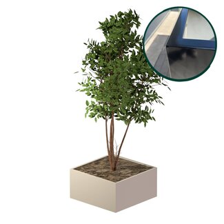 Stalen plantenbak gepoedercoat 120x120x50 cm | Premium