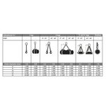 VDH Ketting 2-Sprong met veiligheids- en inkorthaak grade 100 - Ø 8 mm - 2,5 meter