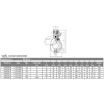VDH VDH Gaffel veiligheidshaak - Grade 100 - 6,7 ton - lengte 13 mm